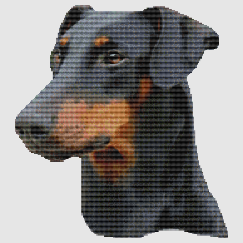 Doberman Pinscher - Portrait (Black Tan) Cross Stitch Pattern