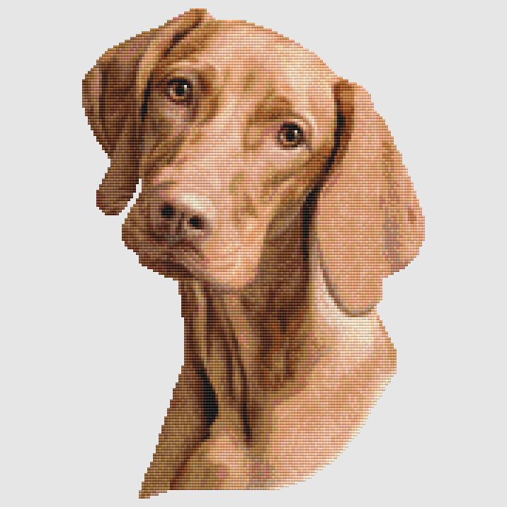 Vizsla - Portrait Cross Stitch Pattern