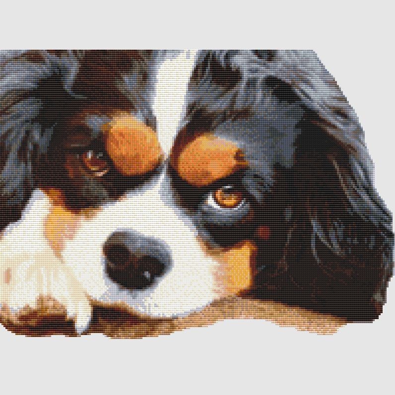 Cavalier Spaniel - Resting (Tri) Cross Stitch Pattern