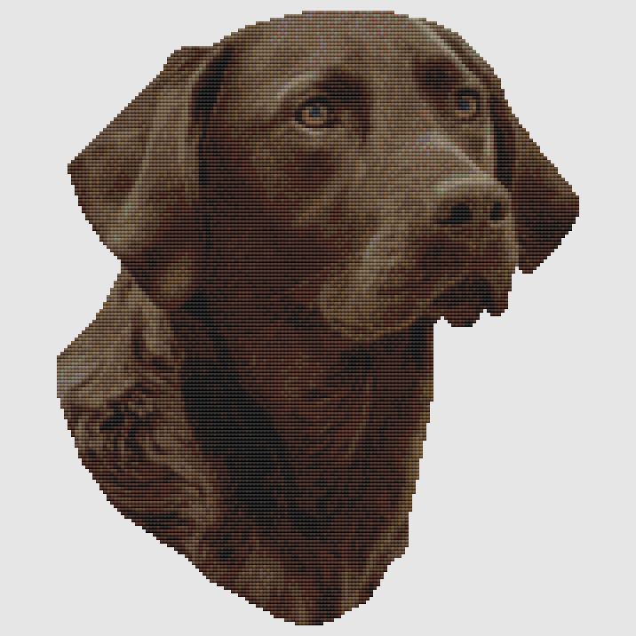 Labrador Retriever - Portrait (Chocolate) Cross Stitch Pattern