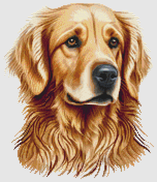 Golden Retriever - Portrait IV Cross Stitch Pattern