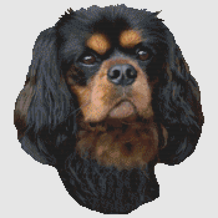 Cavalier Spaniel - Portrait (Black & Tan) Cross Stitch Pattern