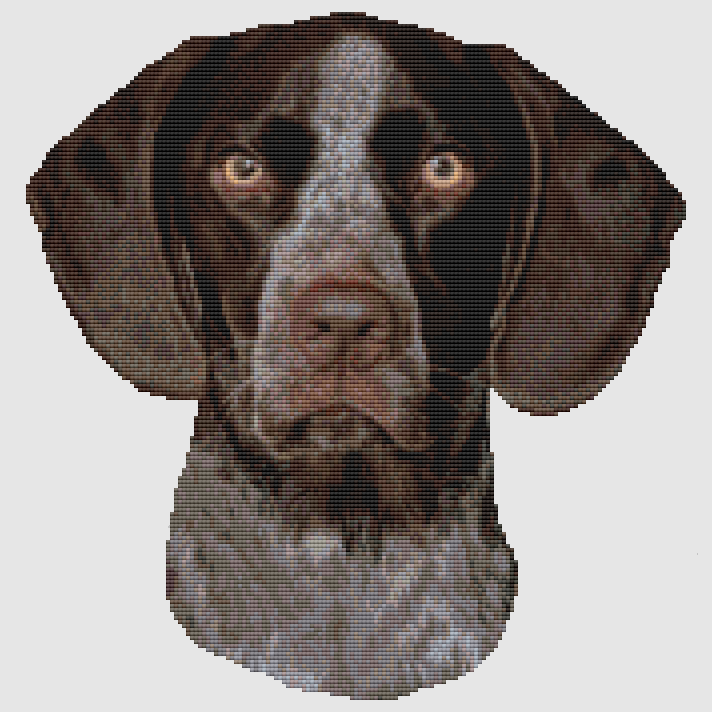 German Shorthair Pointer - Portrait Cross Stitch Pattern