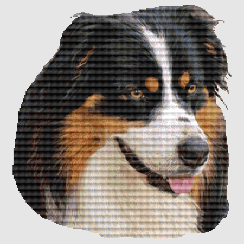 Australian Shepherd - Portrait (Black Tri) Cross Stitch Pattern