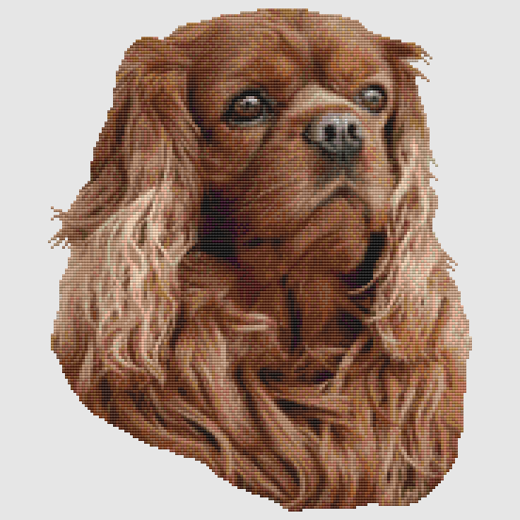 Cavalier Spaniel - Portrait (Ruby) Cross Stitch Pattern