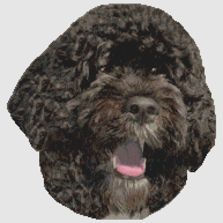 Portuguese Water Dog Cross Stitch Pattern