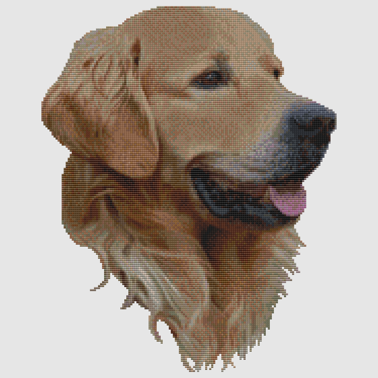 Golden Retriever - Portrait II Cross Stitch Pattern