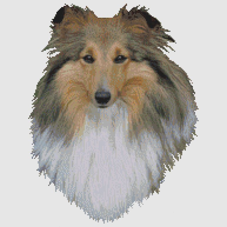 Shetland Sheepdog - Portrait (Sable) Cross Stitch Pattern