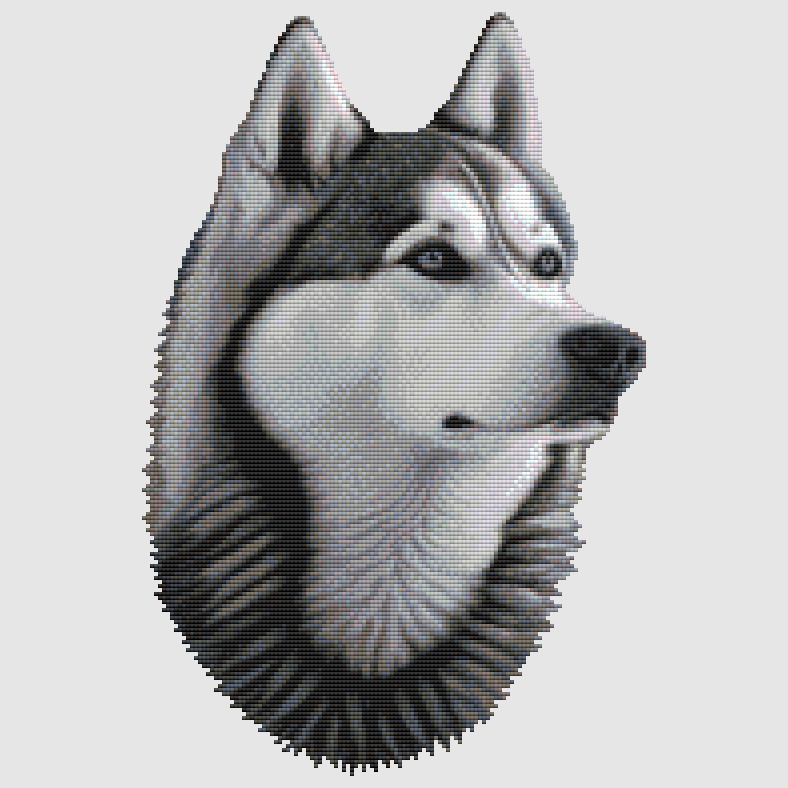 Siberian Husky - Portrait Cross Stitch Pattern