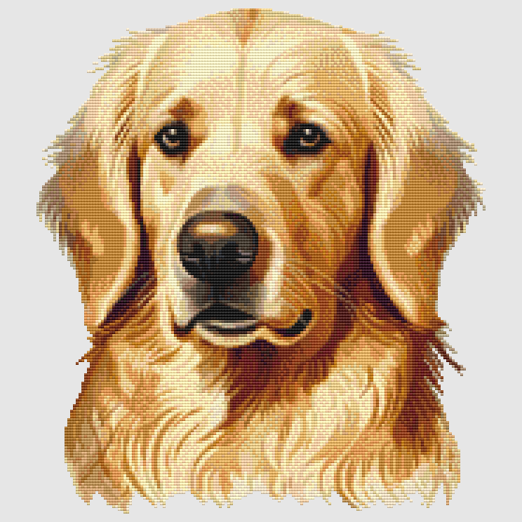 Golden Retriever - Portrait III Cross Stitch Pattern