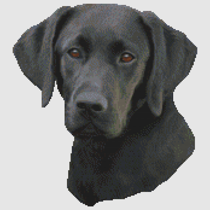 Labrador Retriever - Portrait II (Black) Cross Stitch Pattern