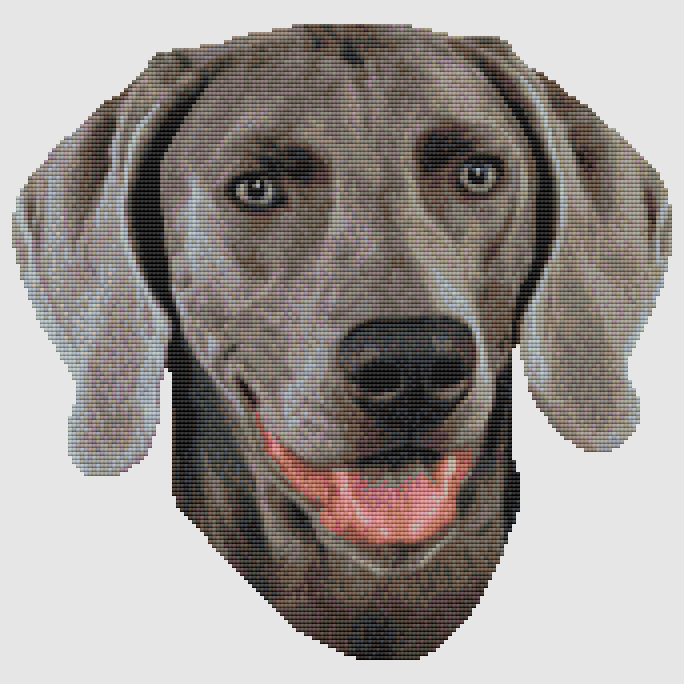 Weimaraner - Smile Cross Stitch Pattern